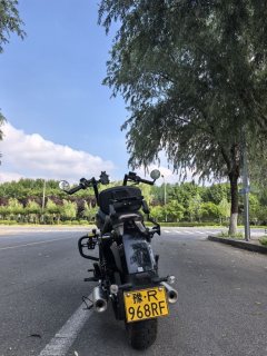 Benda Polestones 03 Gray 300 cc - ფოტო 4