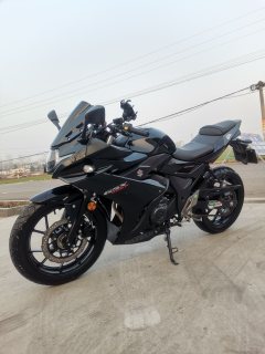 Haojue Suzuki GSX250R - ფოტო 2