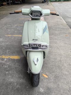 Weiduoliya Sixties 150Si - ფოტო 6