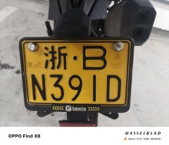 Benelli BKX250 - ფოტო 6