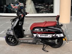 Weiduoliya Sixties 150Si - ფოტო 3
