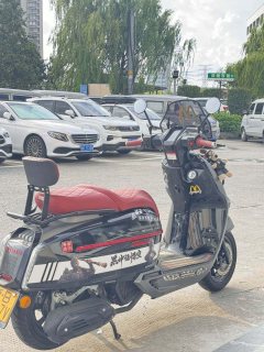 Weiduoliya Sixties 150Si - ფოტო 4