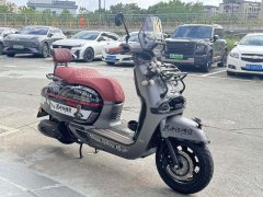 Weiduoliya Sixties 150Si - ფოტო 5