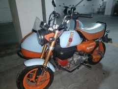 Stoner Monkey 125 Sidecar - photo 1