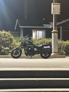 Longjia V-track 250 - ფოტო 2