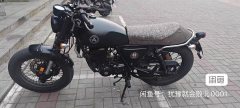 Yingang Latte 200 - ფოტო 7