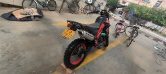 SHINERAY X-Tricker Magician 250 cc - ფოტო 6