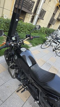 Benelli Lion Cub Leoncino 500 - ფოტო 3