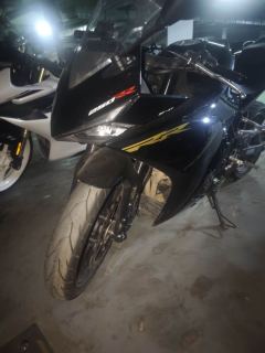 Kayo 250RR Thornbird - ფოტო 3