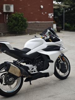 CFMOTO 450SR - ფოტო 3