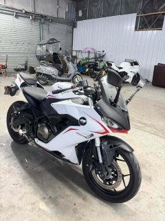 QJMOTOR SRK 250 - фото 4