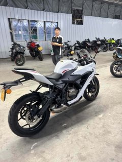 QJMOTOR SRK 250 - фото 5