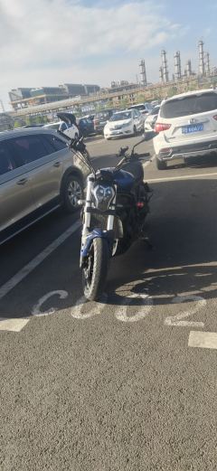 Benelli 502C 500 cc - ფოტო 6