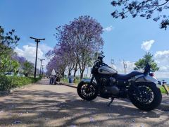 Benda Chinchilla 250 - photo 2