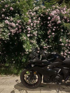 Haojue Suzuki GSX250R - photo 2