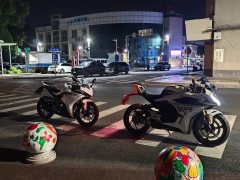Kayo 250RR Thornbird - ფოტო 1