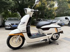 Nanfnag Monica Lisa Feigo 150 cc - ფოტო 7