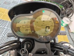 Benelli Lion Cub Leoncino 500 - ფოტო 1