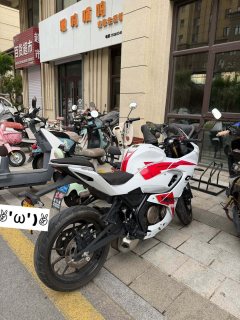 QJMOTOR SRK 250 - ფოტო 2