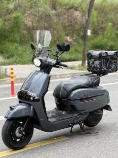 Weiduoliya Sixties 150Si - ფოტო 2