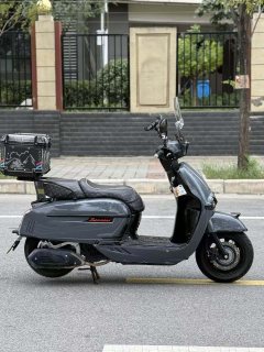 Weiduoliya Sixties 150Si - ფოტო 3