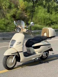 Nanfnag Monica Lisa Feigo 150 cc - ფოტო 3