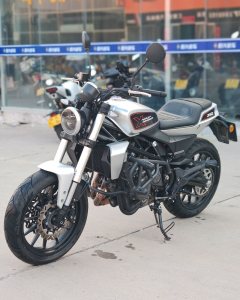 Harley-Davidson X 350 - ფოტო 1
