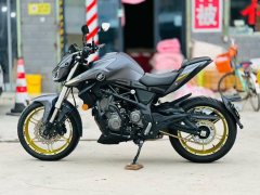 QJMOTOR Chase 350 - ფოტო 4
