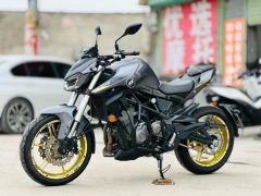 QJMOTOR Chase 350 - ფოტო 6