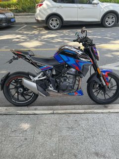 Kayo Cobra 321R 320 cc - ფოტო 6