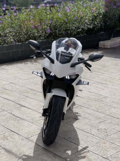 Kayo 450RR - ფოტო 3