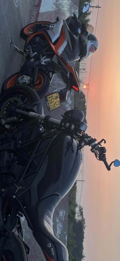 Benelli 502C 500 cc - photo 3