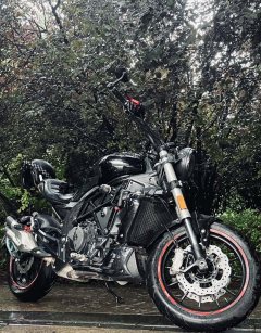 Benelli 502C 500 cc - photo 4