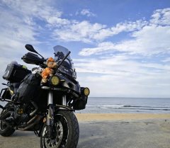 Benelli Jinpeng TRK502 500 cc - ფოტო 1
