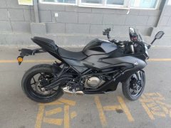 QJMOTOR SRK 250 - фото 1
