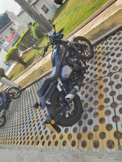 QJMOTOR Flash 150 - ფოტო 1
