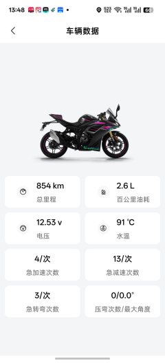 Voge 250RR - ფოტო 3