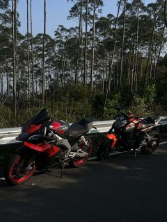 Zongshengapuliya GPR250R - ფოტო 3
