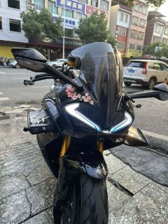 CFMOTO 750SR-S - ფოტო 2