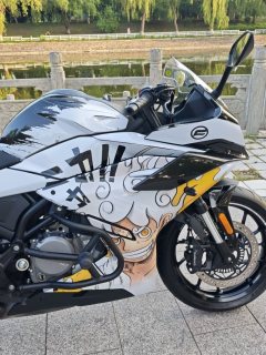 CFMOTO 250SR - ფოტო 4