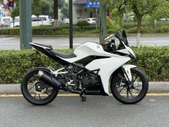 Kayo 250RR Thornbird - ფოტო 2