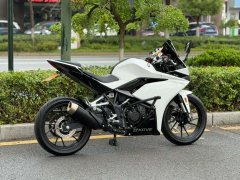 Kayo 250RR Thornbird - ფოტო 3