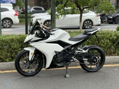 Kayo 250RR Thornbird - ფოტო 4