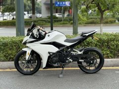 Kayo 250RR Thornbird - ფოტო 5