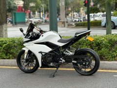 Kayo 250RR Thornbird - ფოტო 6