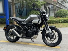 Sundiro Honda CBF190TR - photo 1
