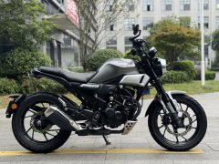 Sundiro Honda CBF190TR - photo 4