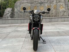 Triumph Trident 660 - ფოტო 7
