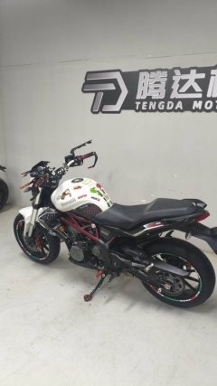 Benelli TNT 300 / BN 302S - ფოტო 3