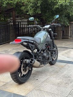 Benelli Lion Cub Leoncino 500 - ფოტო 6